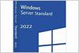 CSP Licença Microsoft Windows Server Datacenter 202